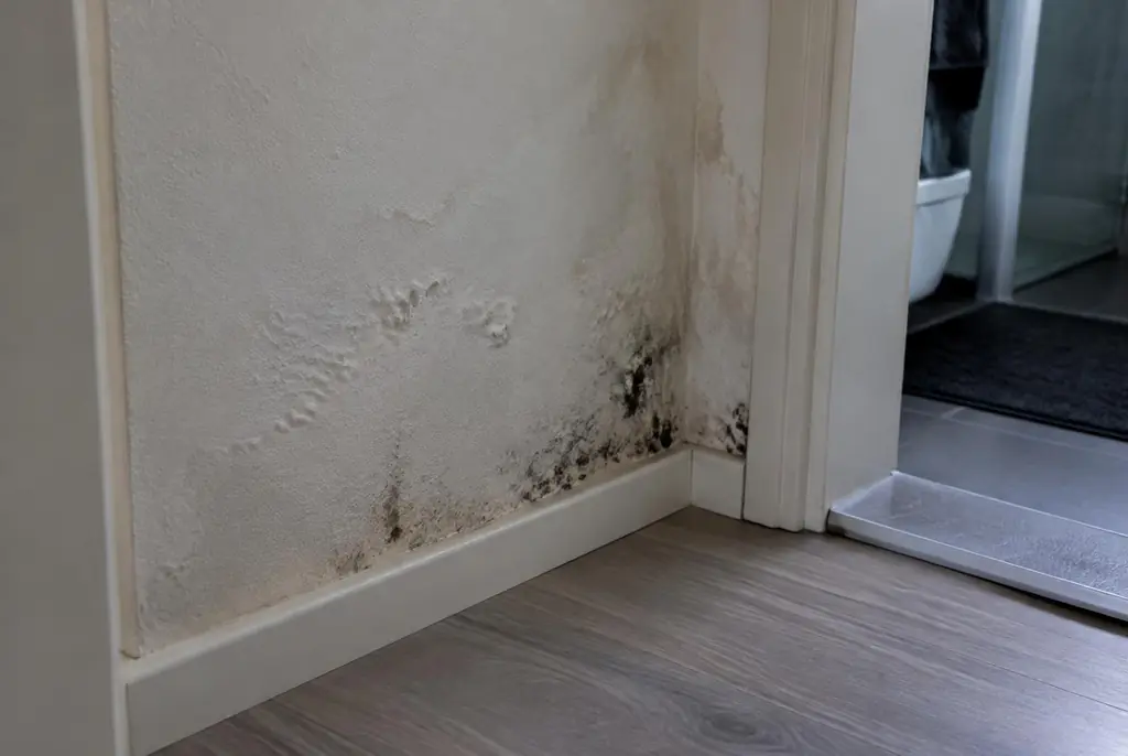 Lekdetectie Breukelen – vochtplek met schimmel op een muur